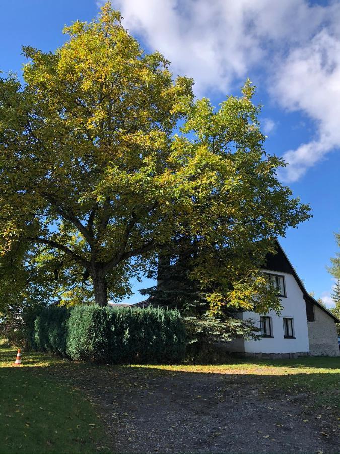 Utulna Chaloupka V Krkonosich Villa Vysoké nad Jizerou Exteriör bild